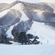 First Snow Of The Season 500 metres from Yamadasan Ski Lodge in Madarao